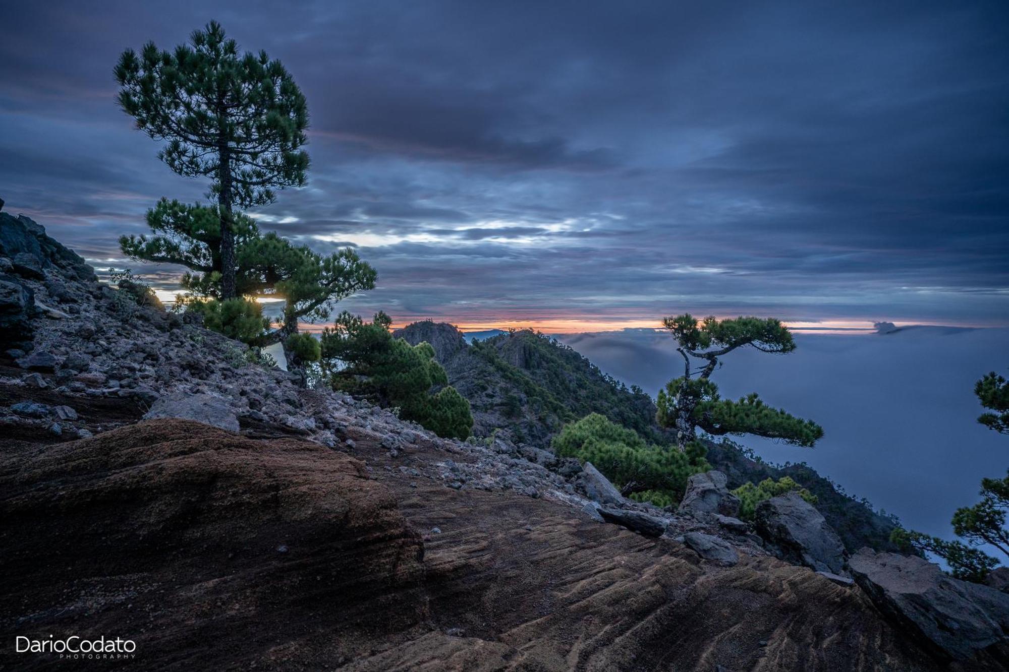 Atico Moderno - Out Of Blue Διαμέρισμα Santa Cruz de la Palma  Εξωτερικό φωτογραφία